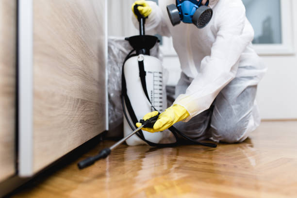 Best Affordable Pest Control Services  in Stanfield, NC